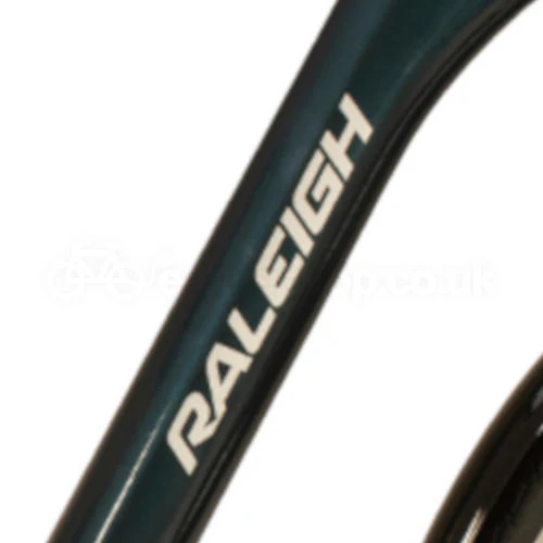 Raleigh Motus Grand Tour Low Step Bosch - Image 2