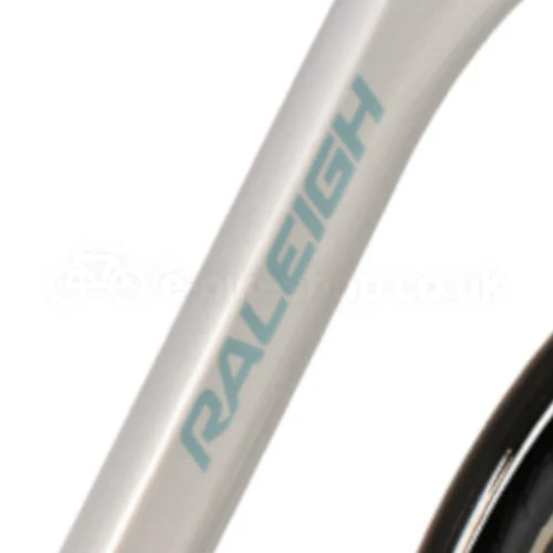 Raleigh Motus Low Step 2020 Bosch - Image 2