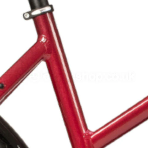 Raleigh Motus Open 2020 Bosch Electric Bike - Image 2