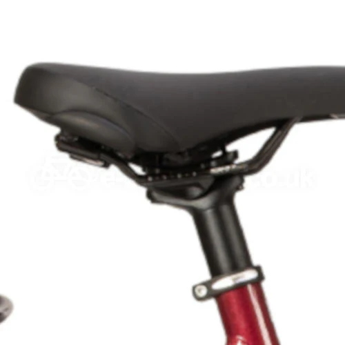 Raleigh Motus Open 2020 Bosch Electric Bike - Image 8