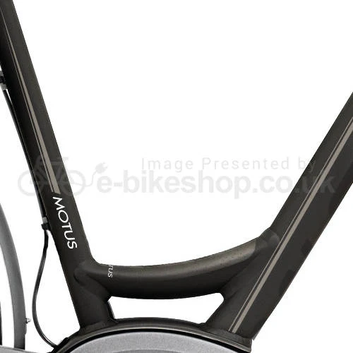 Raleigh Motus 7 Speed Step Through Bosch - Image 6