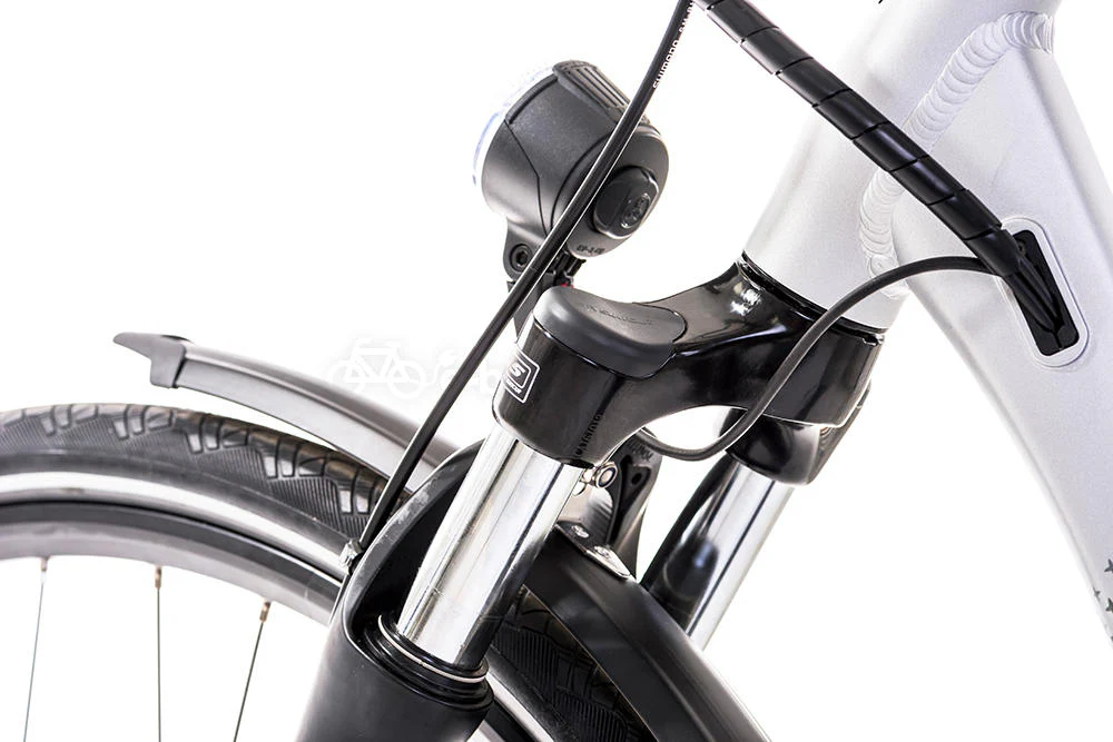 Raleigh Motus Crossbar Hub Gear Bosch - Image 6